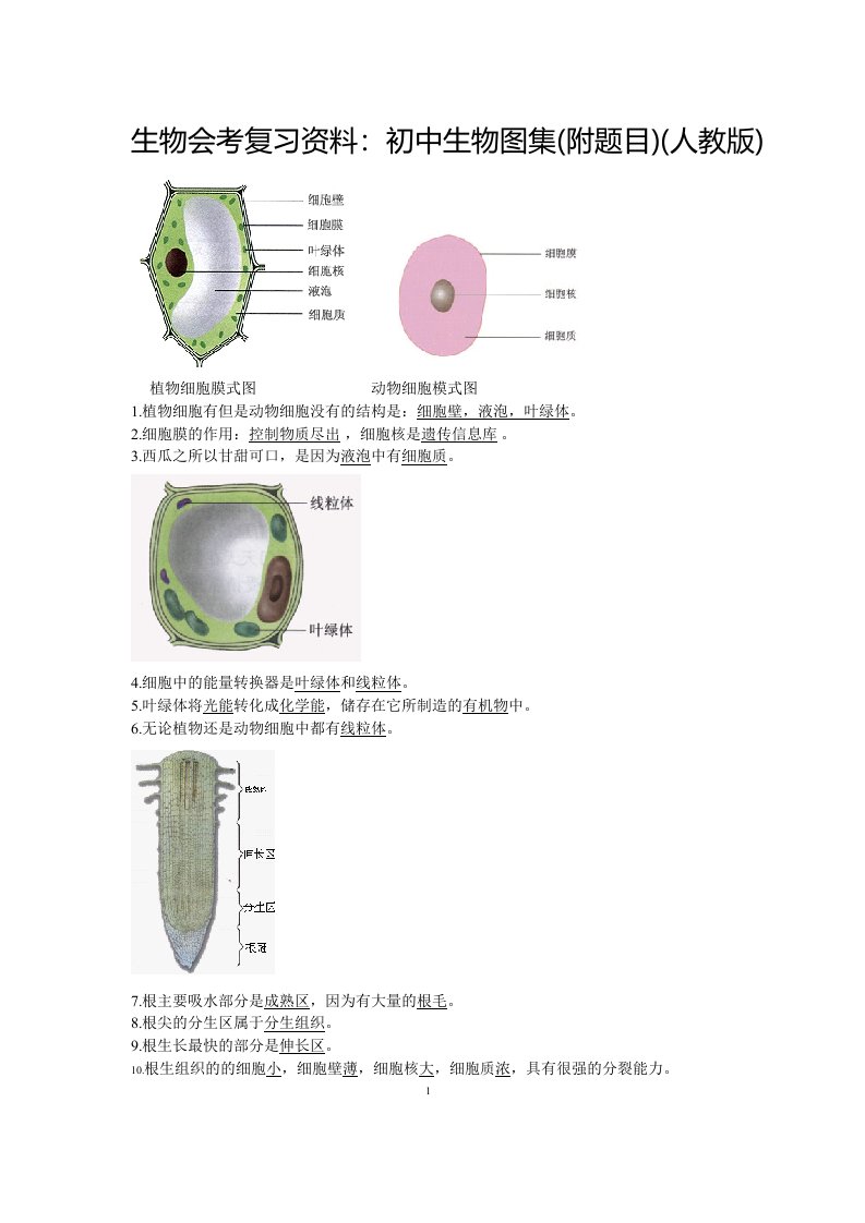 生物会考复习资料初中生物图集附题目人教版