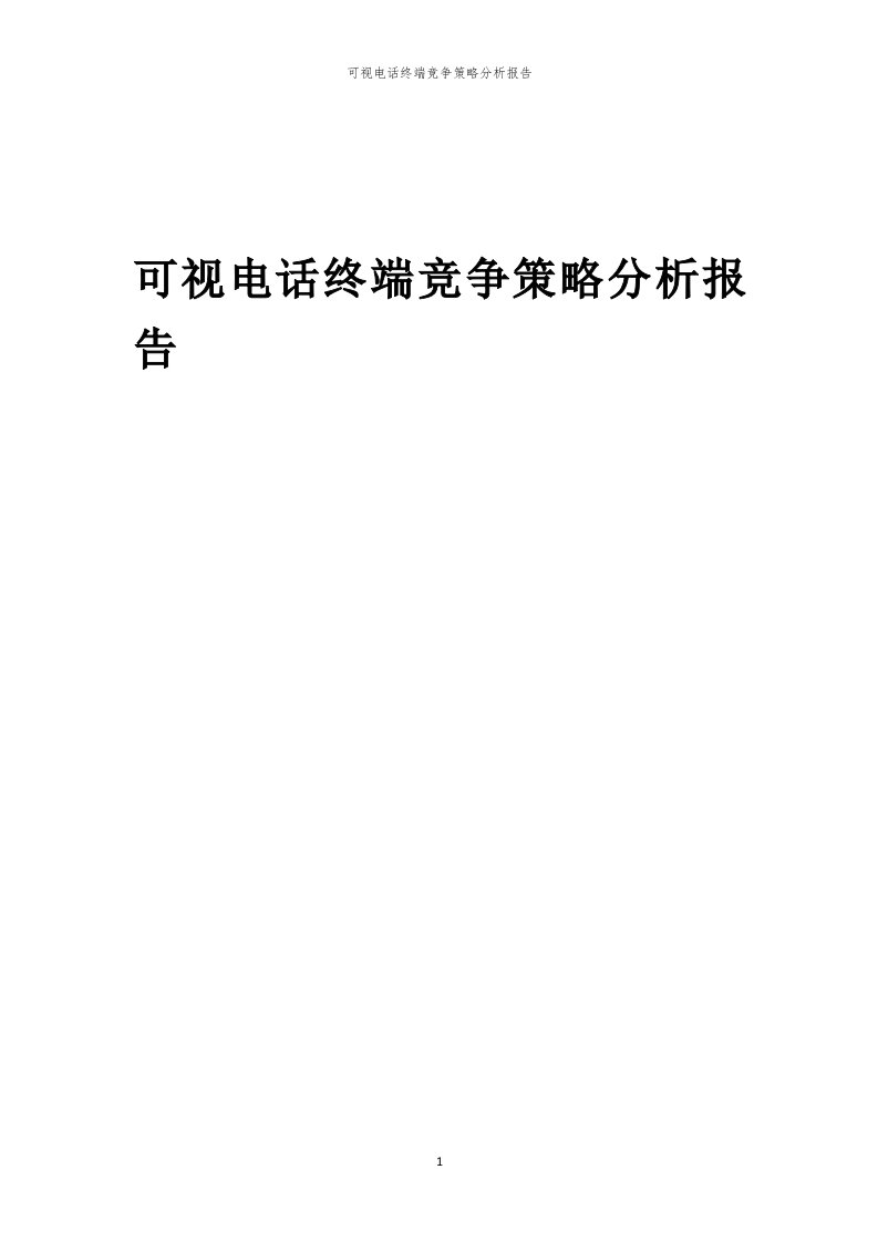 年度可视电话终端竞争策略分析报告