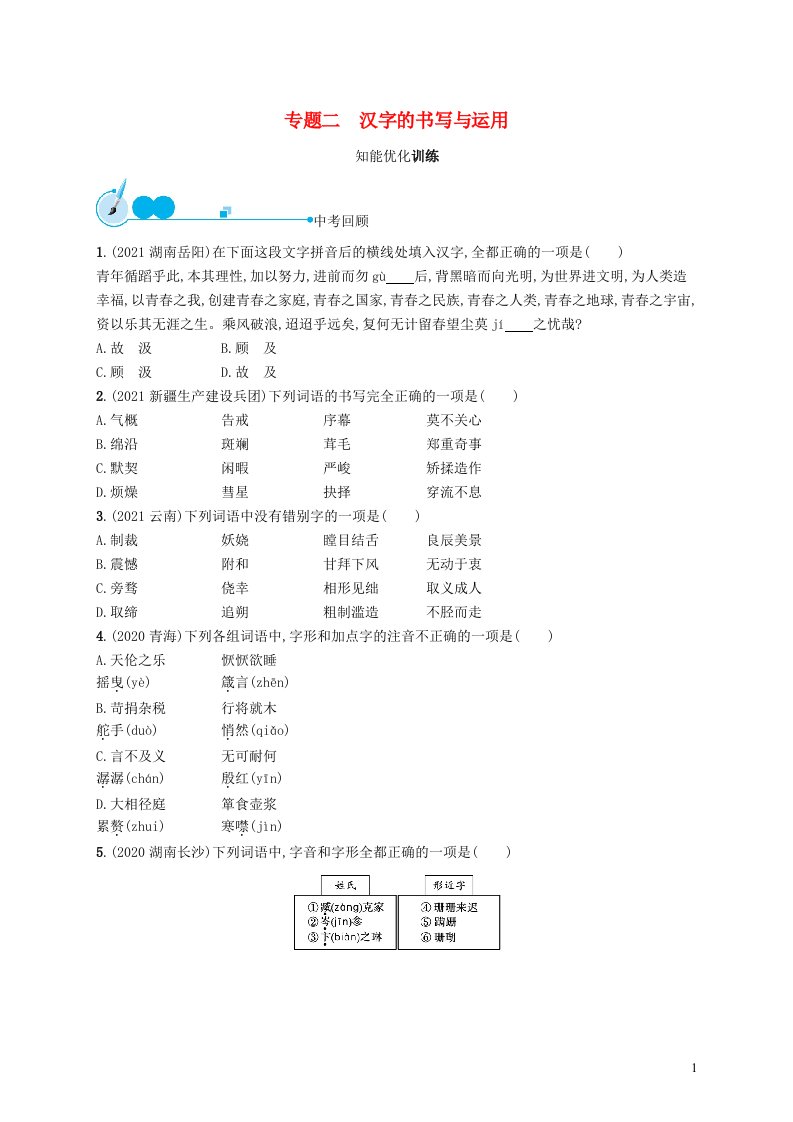 2022初中语文总复习专题2汉字的书写与运用