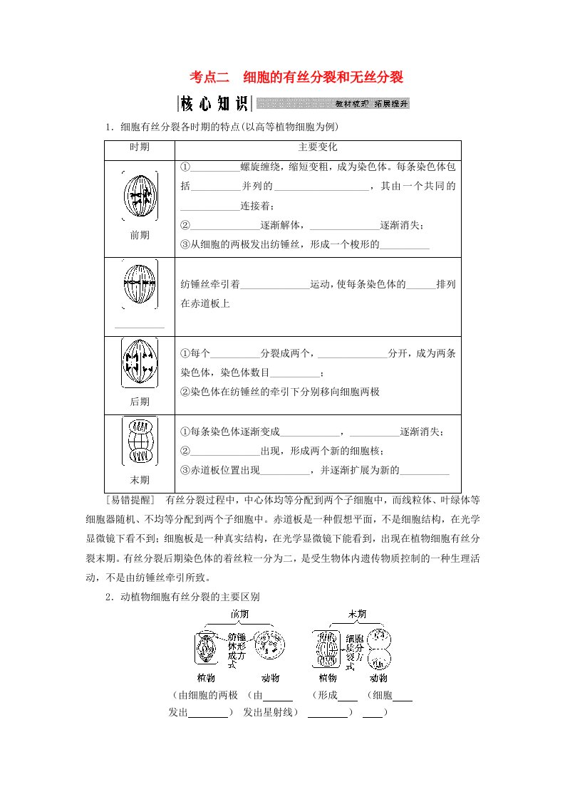 2025届高考生物一轮总复习学生用书必修1第四单元细胞的生命历程第15讲细胞的增殖考点二细胞的有丝分裂和无丝分裂