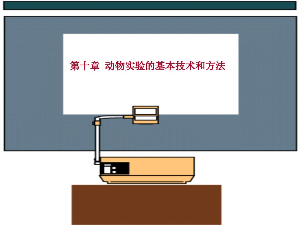 动物实验的基本技术和方法