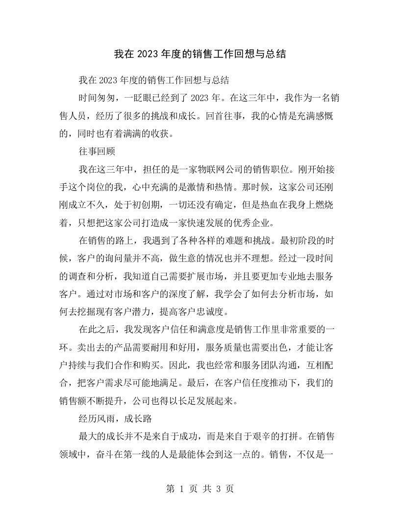 我在2023年度的销售工作回想与总结