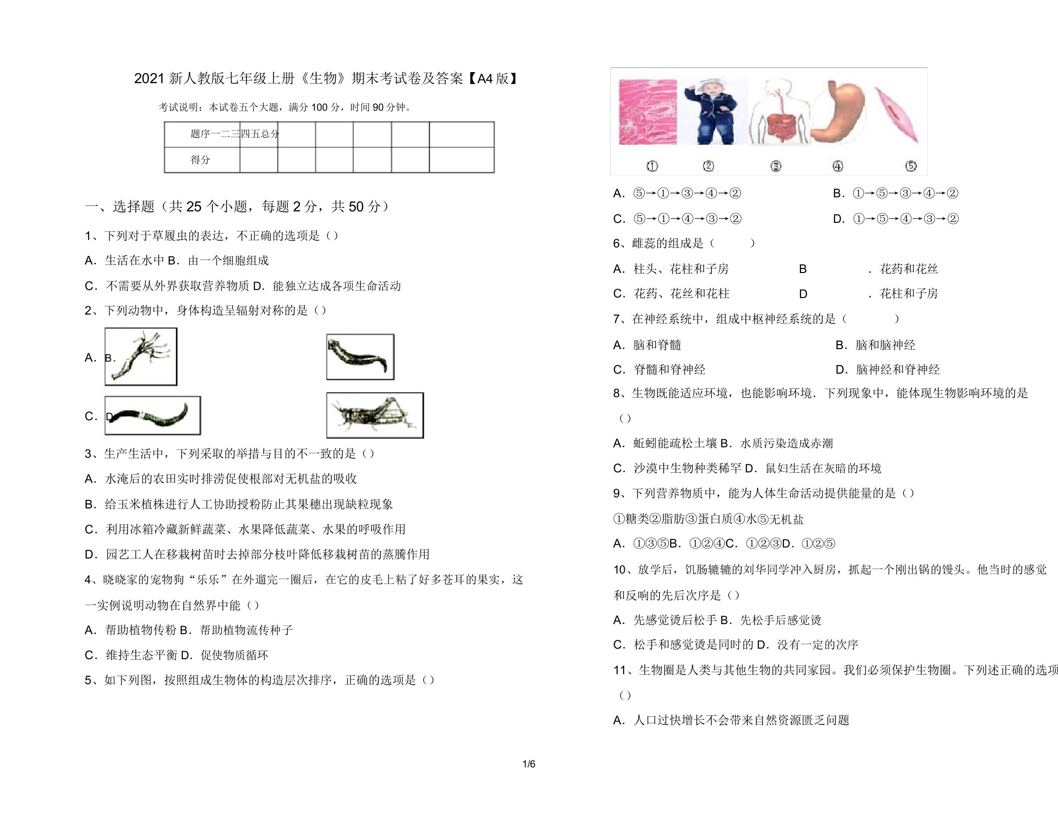 2021新人教版七年级上册《生物》期末考试卷及答案【A4版】