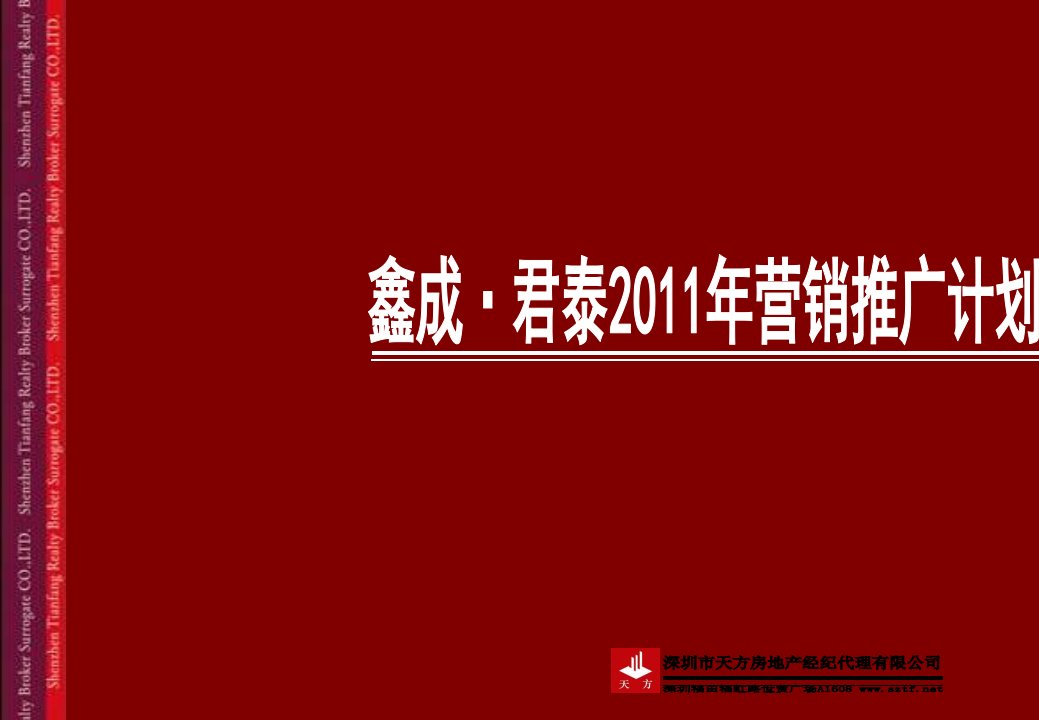 张家界鑫成君泰2024年营销措施与计划95p