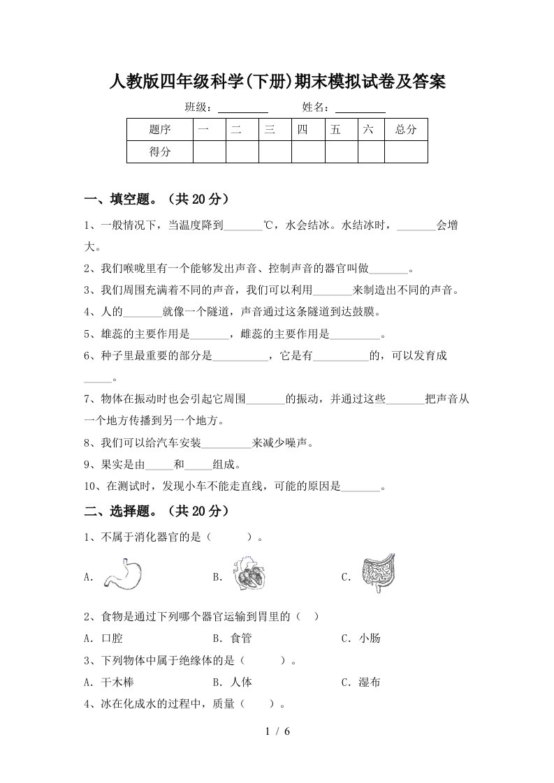 人教版四年级科学下册期末模拟试卷及答案