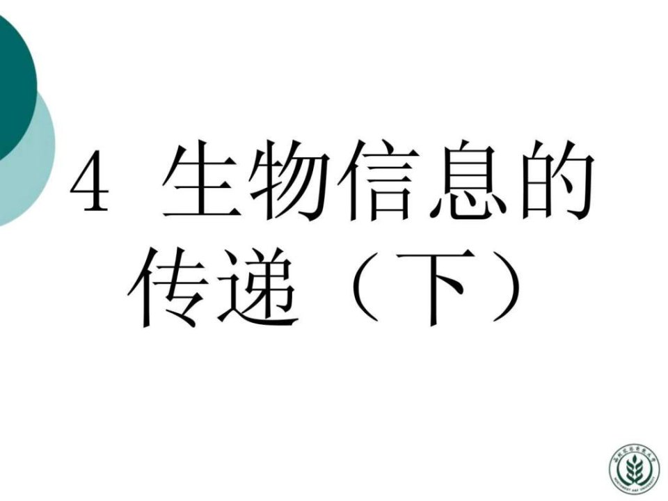 分子生物学课件—蛋白质翻译