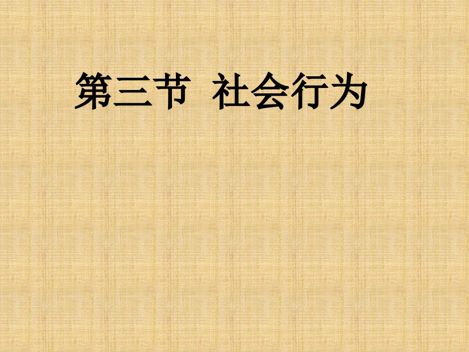 八年级生物上册《动物的社会行为》课件-新人教版