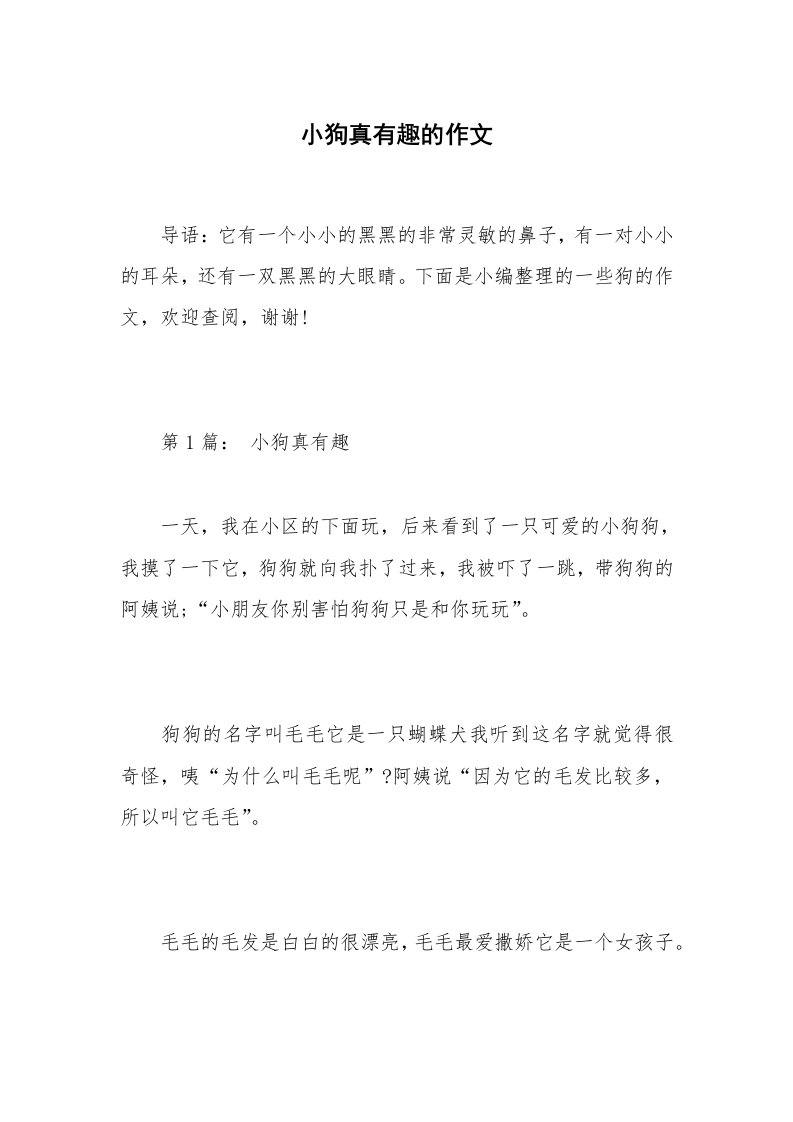 小狗真有趣的作文