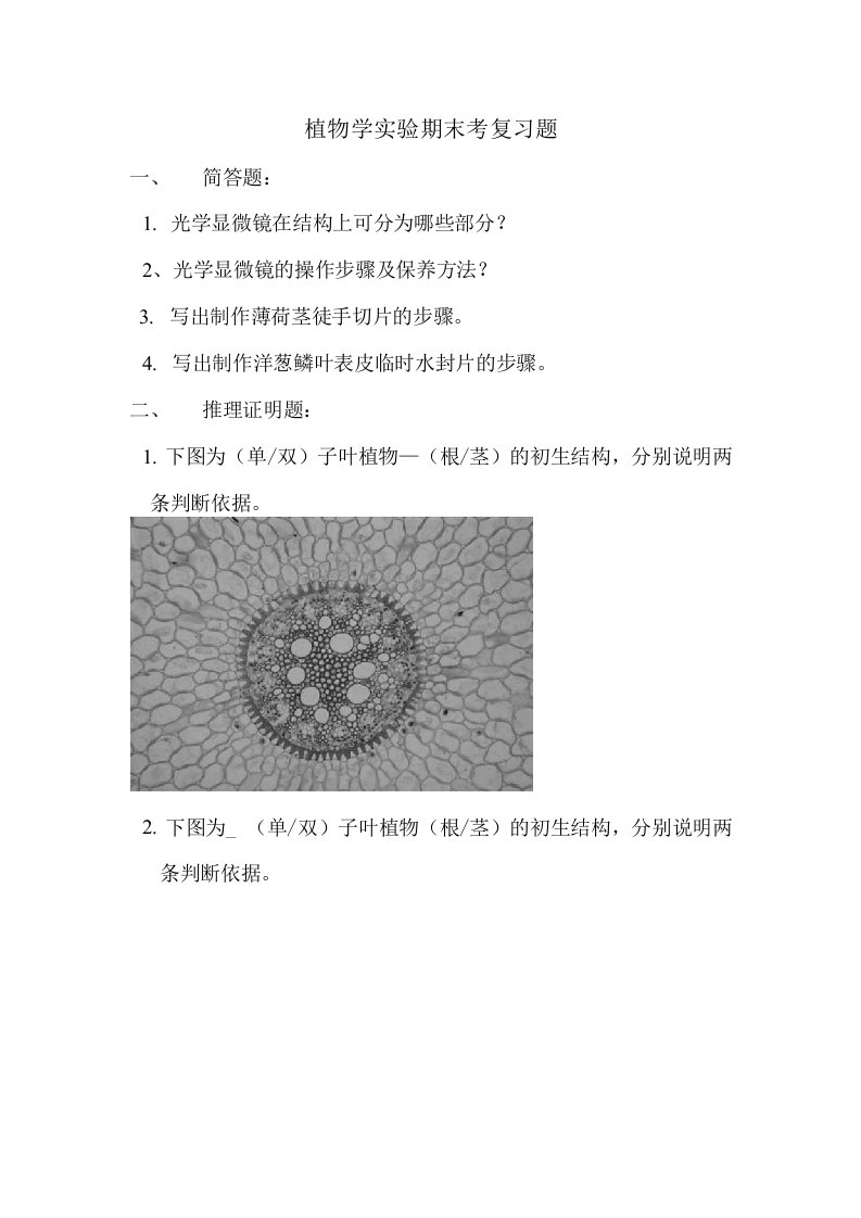 植物学实验期末考复习题