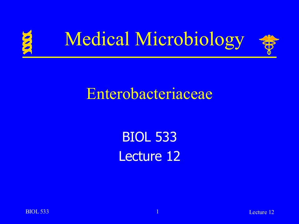 英文版微生物学授课讲义lecture12