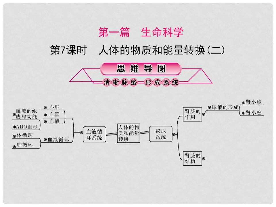 浙江省中考科学复习