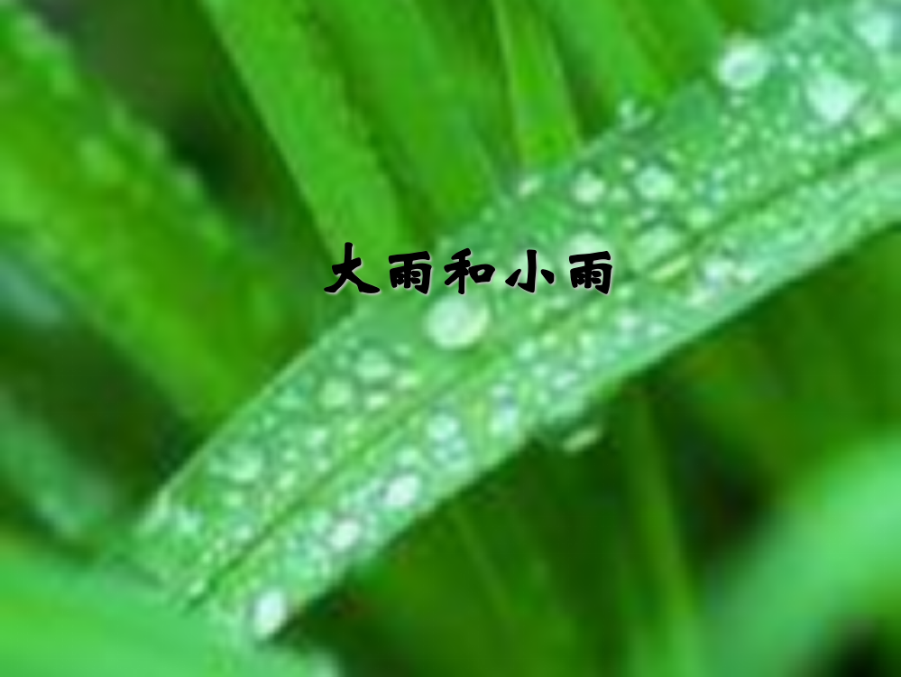 一年级上音乐课件-大雨和小雨人教新课标(）