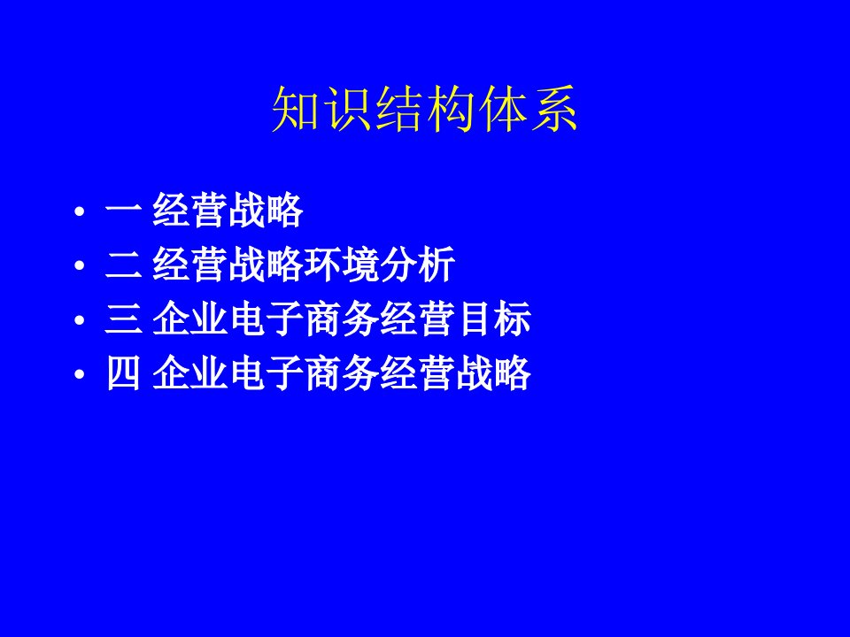 企业电子商务经营战略管理