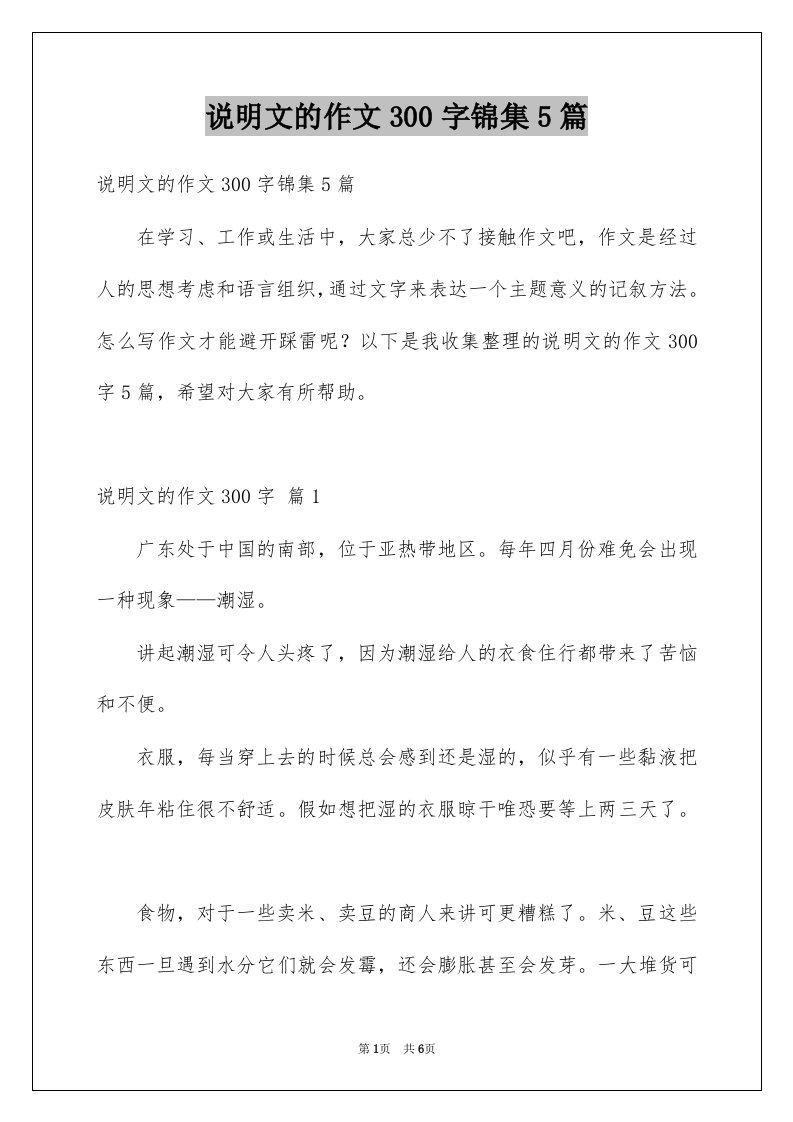 说明文的作文300字锦集5篇优质