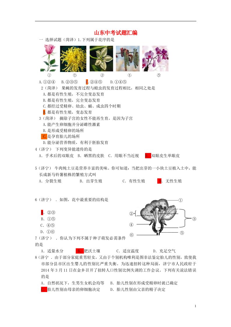 山东省中考生物试题汇编