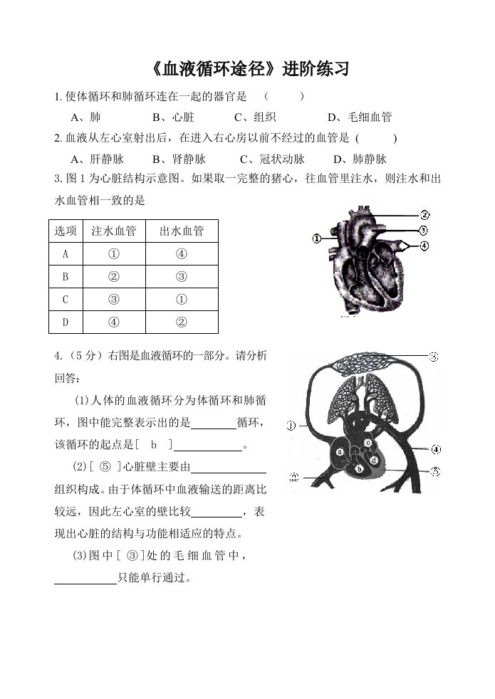 生物人教版七年级下册进阶练习