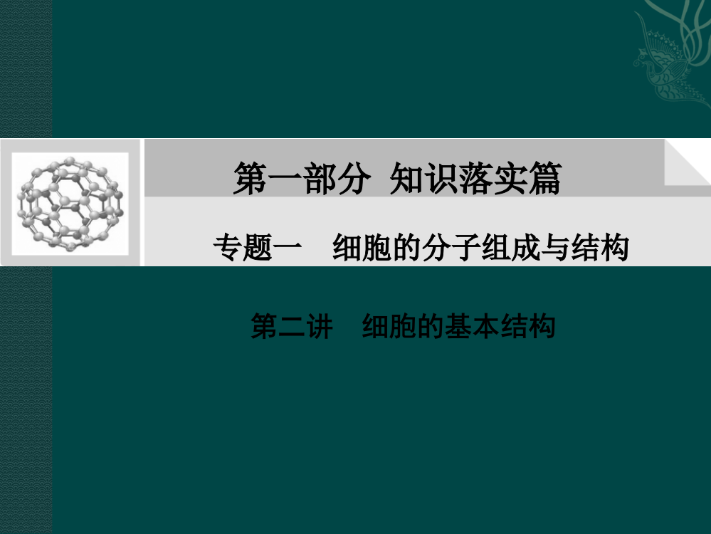 细胞的基本结构ppt课件