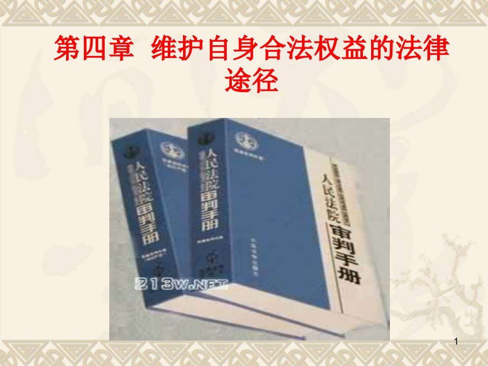 维护自身合法权益的法律途径ppt课件