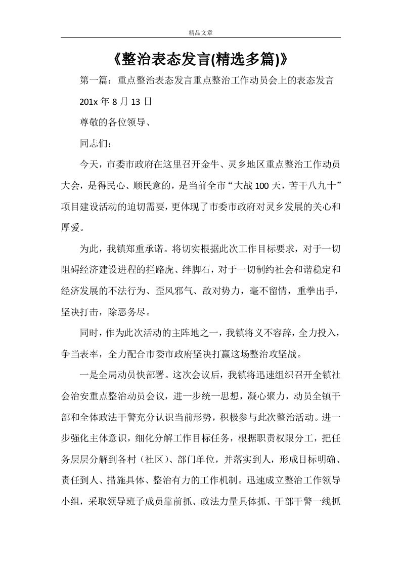 《整治表态发言(精选多篇)》