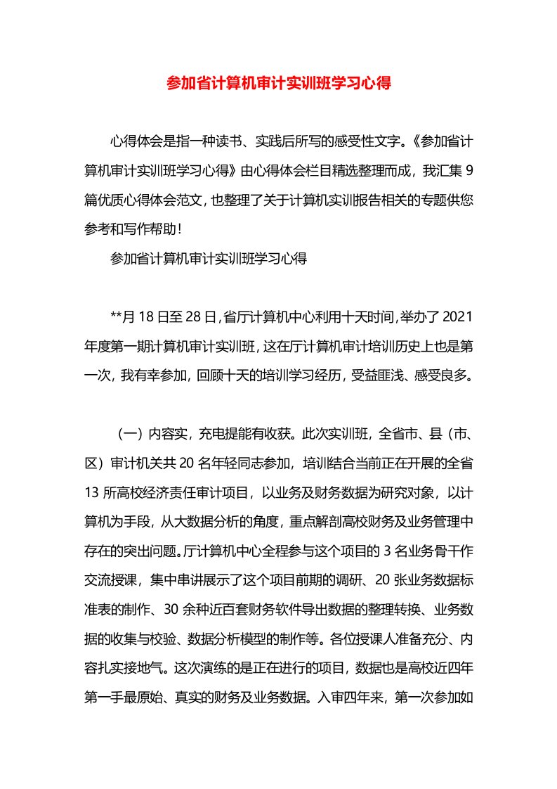 参加省计算机审计实训班学习心得