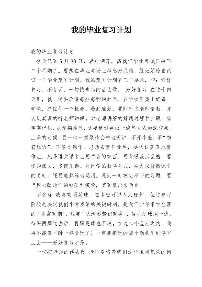 我的毕业复习计划