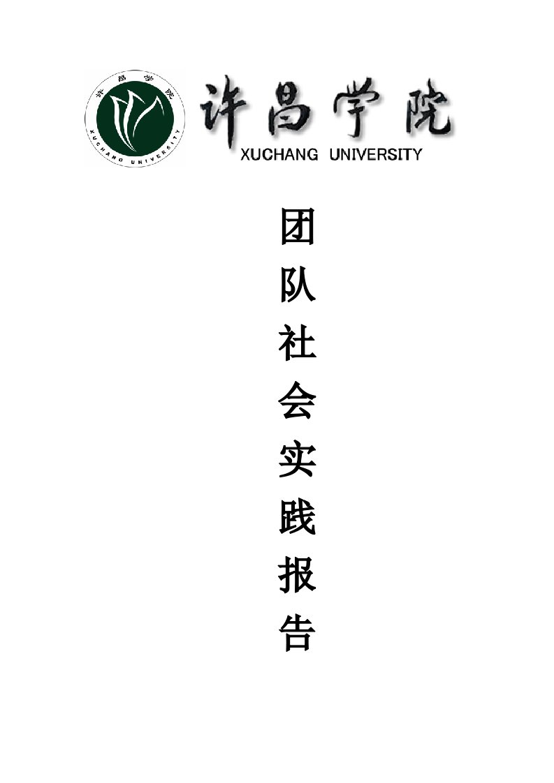 【调研报告】大学生暑期社会实践团队总结报告