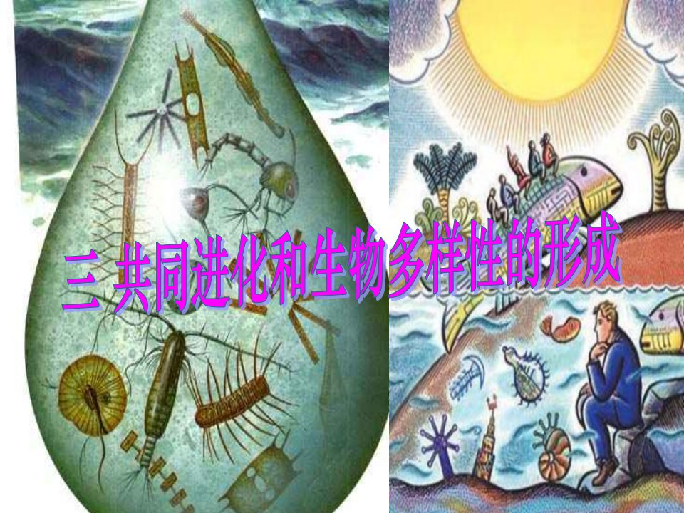 人教版教学课件共同进化与生物多样性的形成课件