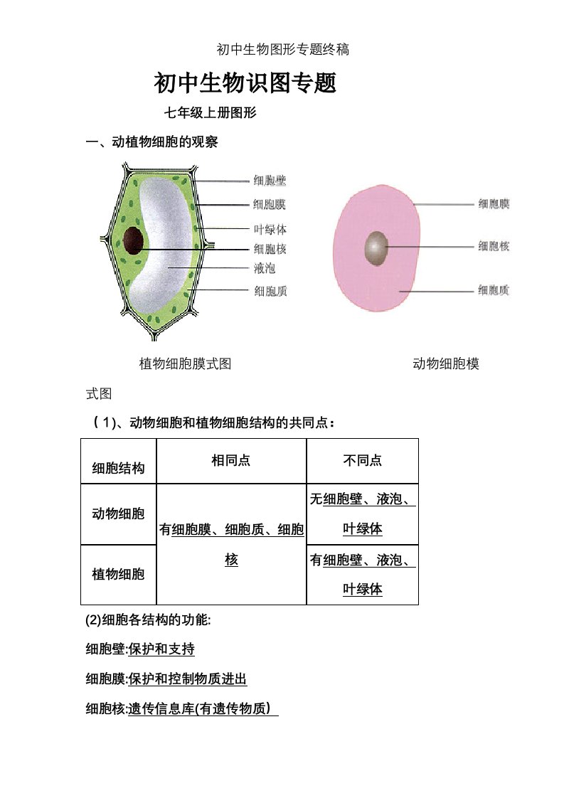 初中生物图形专题终稿