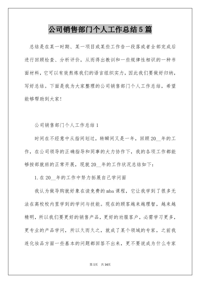 公司销售部门个人工作总结5篇