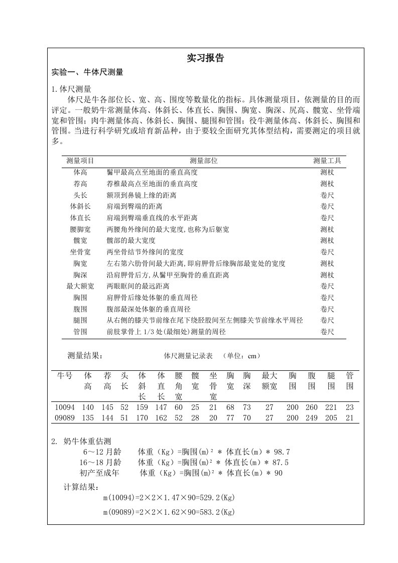 养牛学实习报告