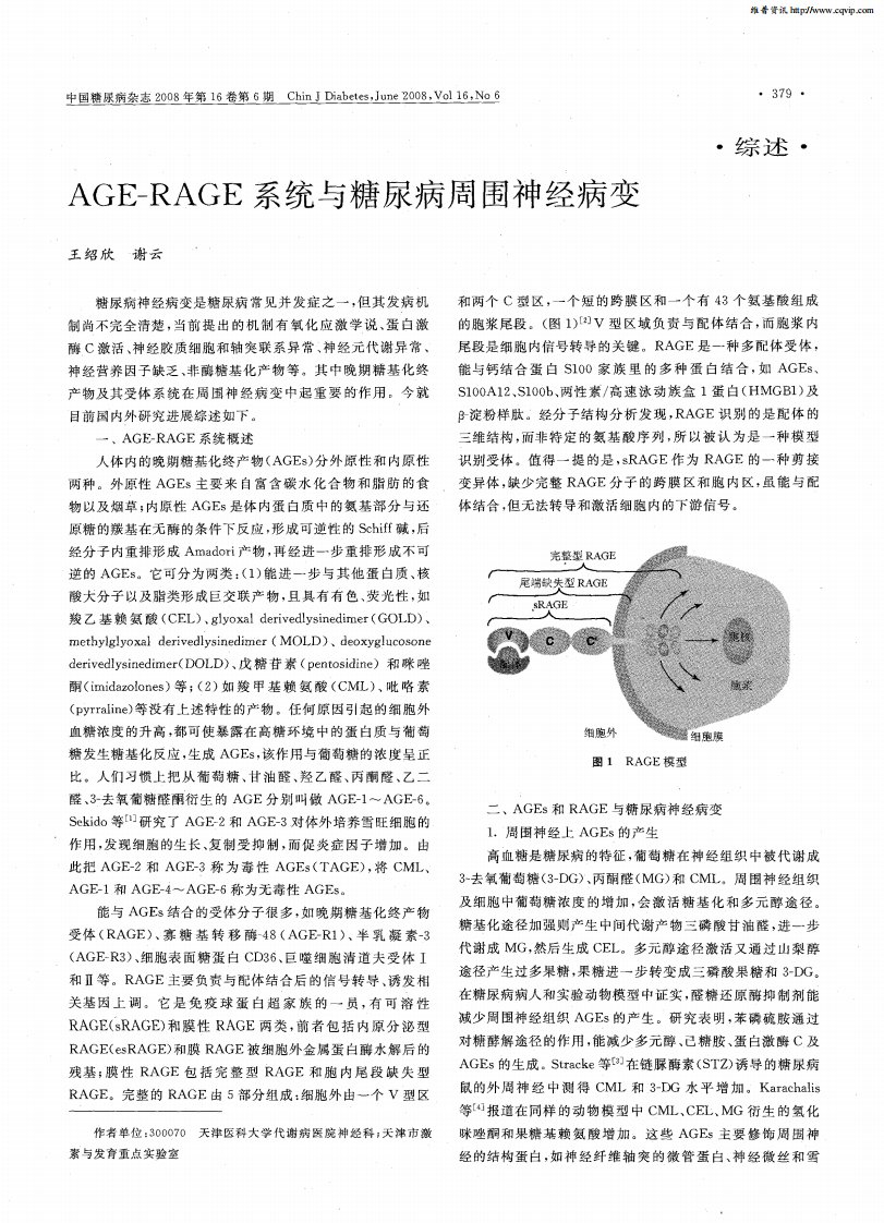 AGE-RAGE系统与糖尿病周围神经病变.pdf