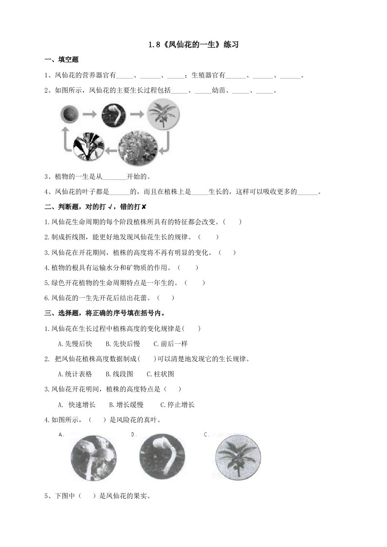 2021春教科版四年级下册科学1.8《凤仙花的一生》练习