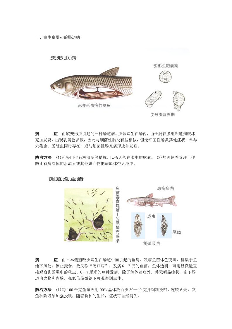 常见淡水鱼病彩色图谱