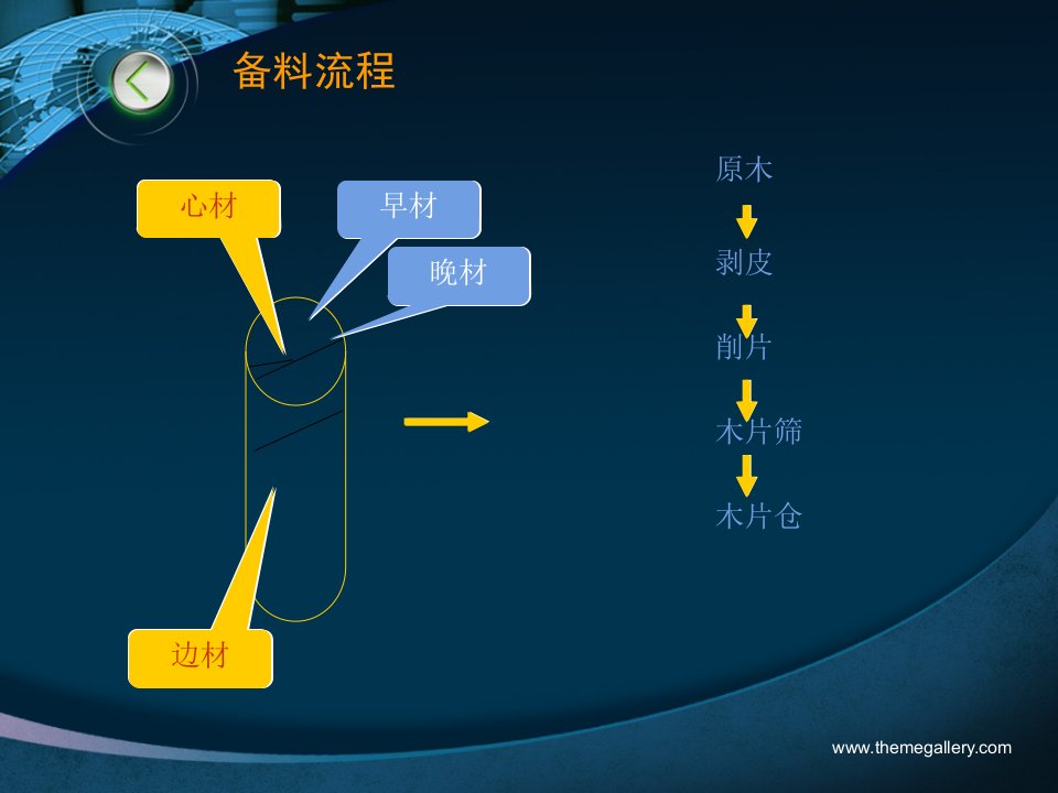 制浆工艺专题培训课件