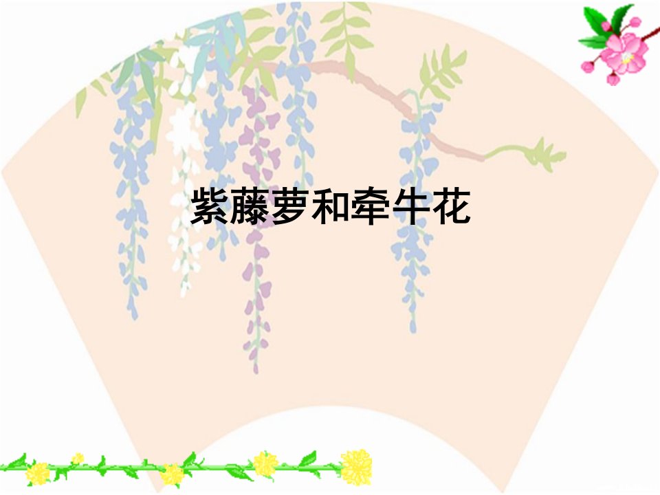 作文：牵牛花和紫藤萝[1]