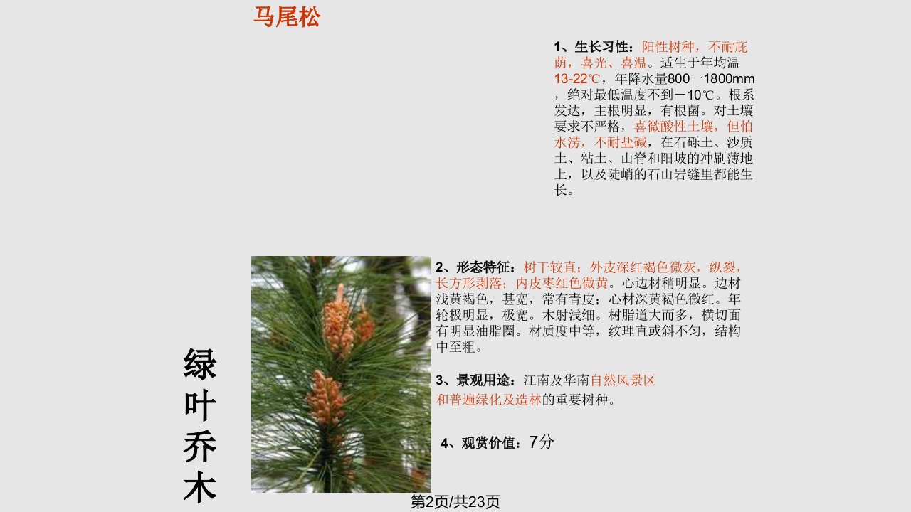 中国南方常用园林植物种简介