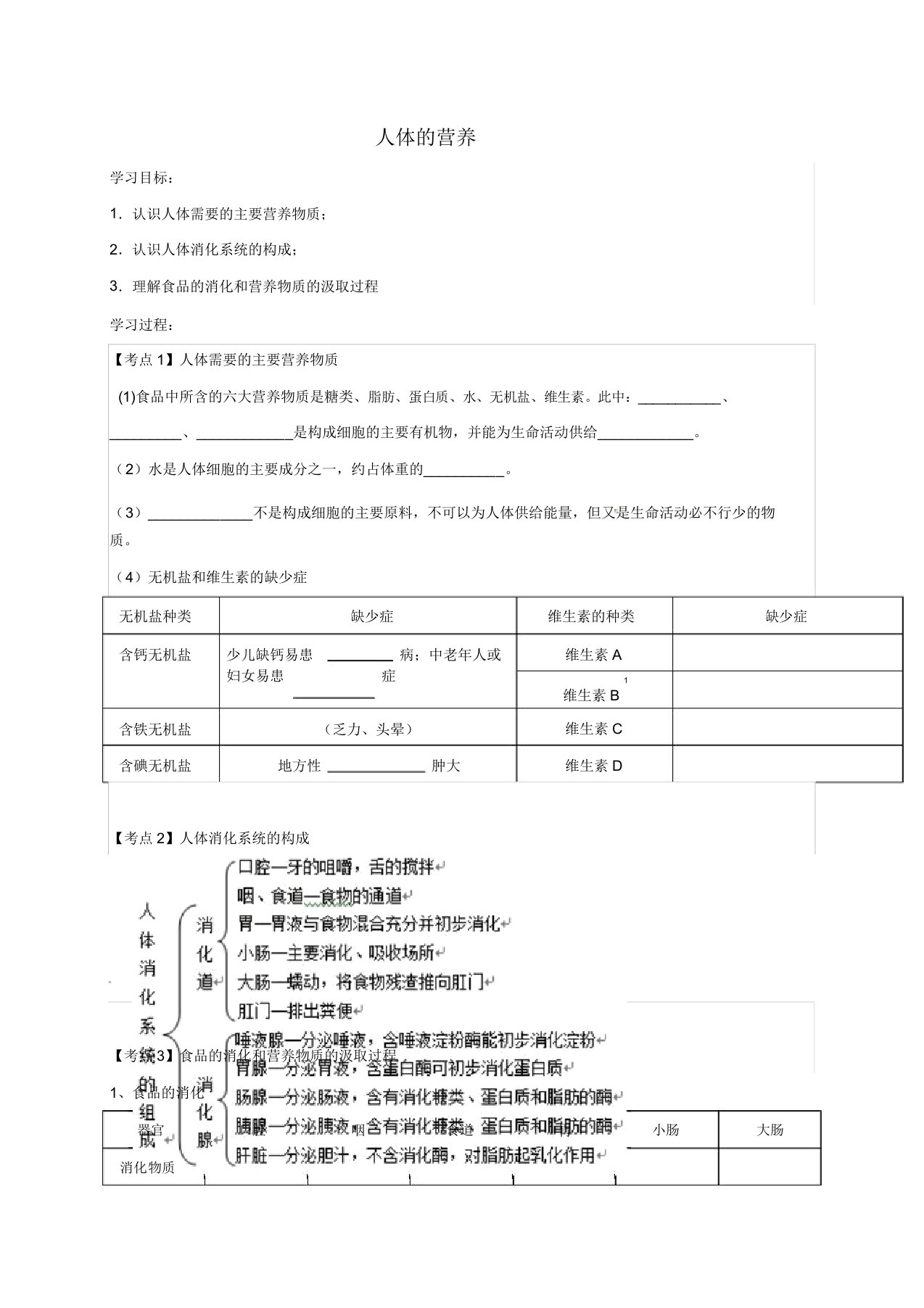 广东省河源市七年级生物下册42人体营养教案新人教版