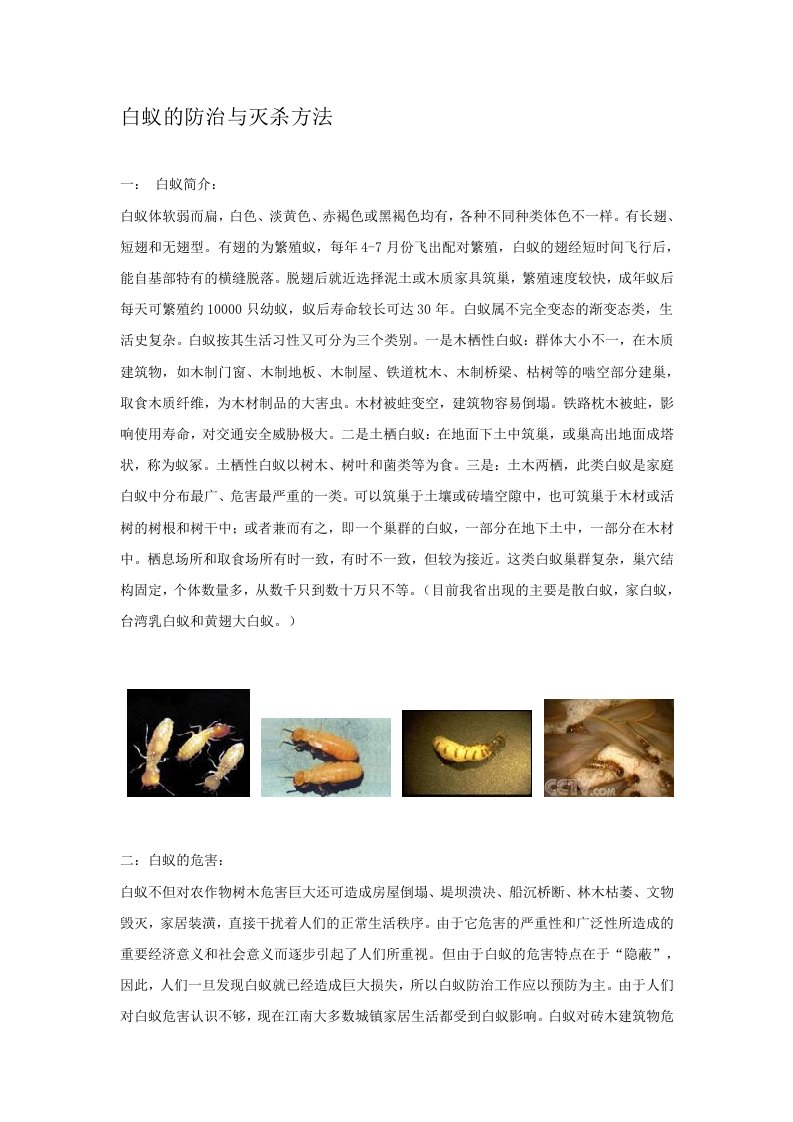 白蚁的防治与灭杀方法