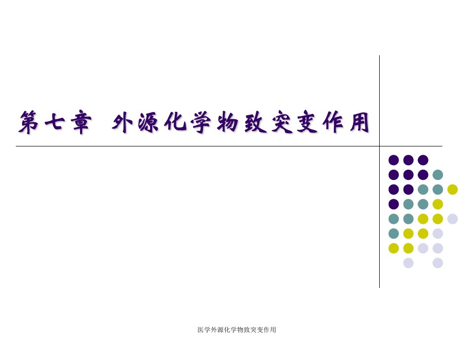 医学外源化学物致突变作用课件