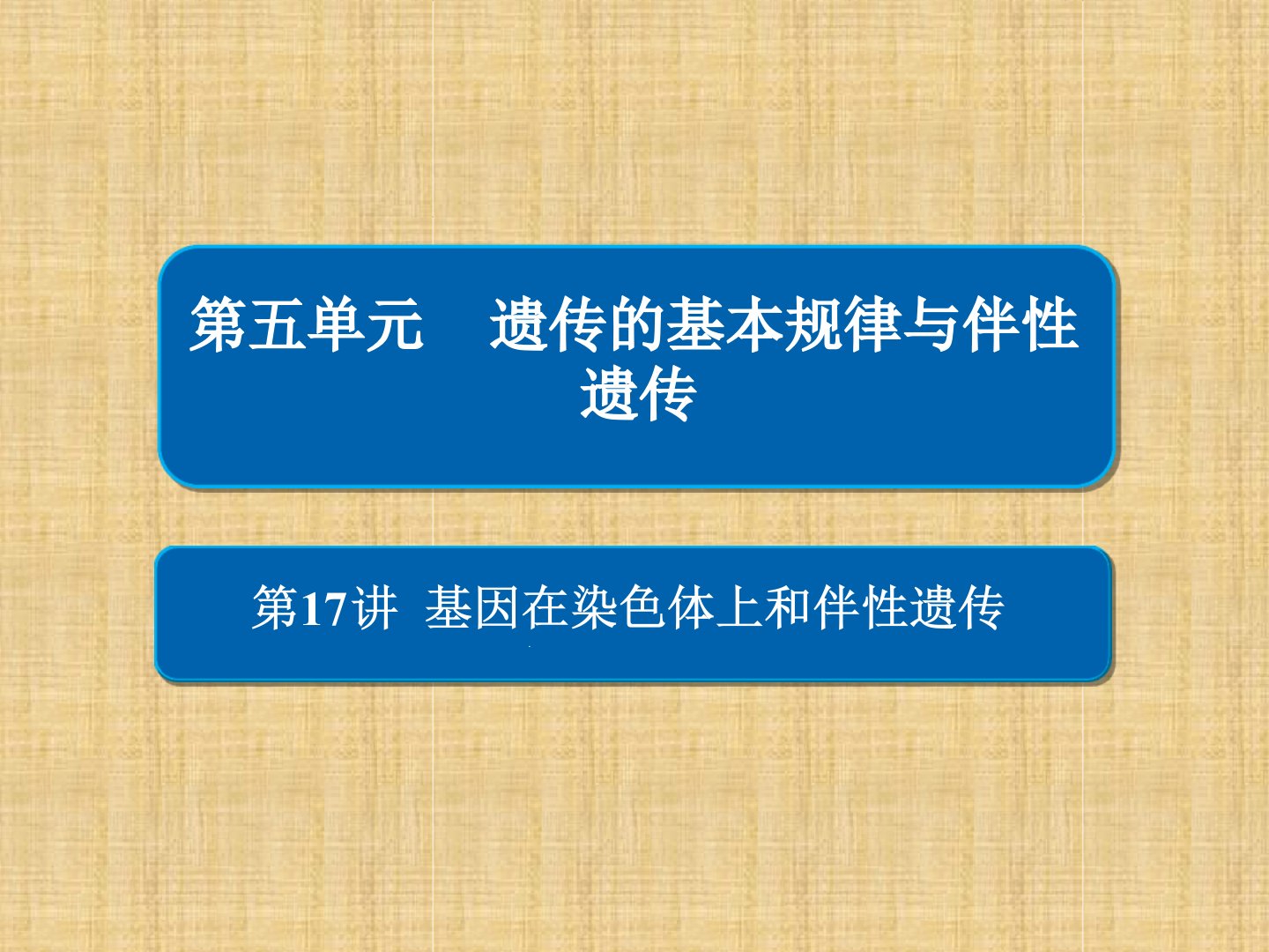 全国版高考生物一轮复习第17讲基因在染色体上和伴性遗传名师课件