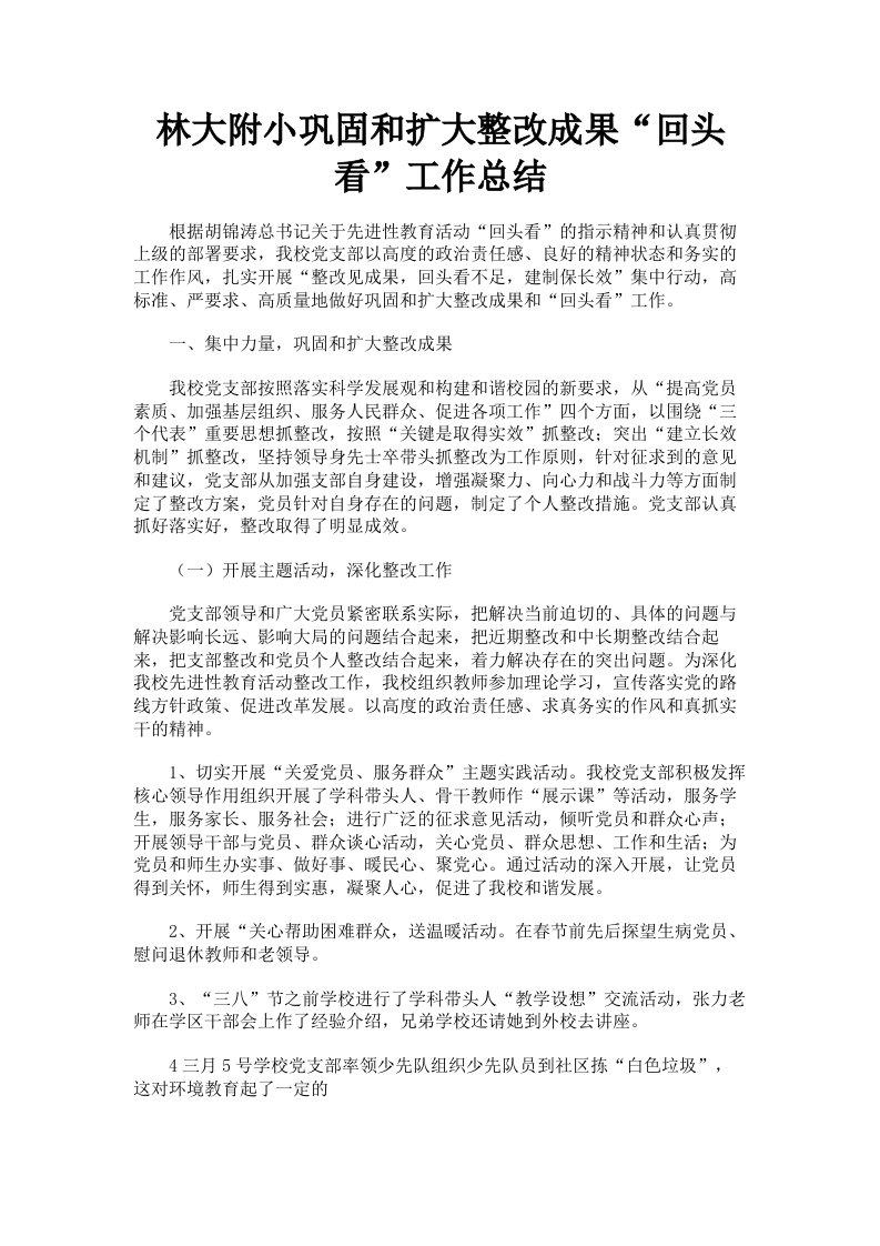 林大附小巩固和扩大整改成果回头看工作总结