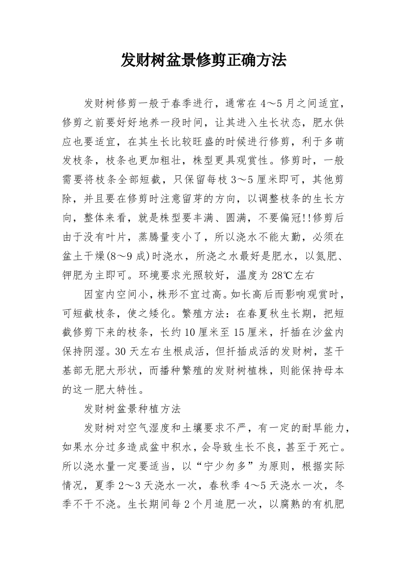 发财树盆景修剪正确方法