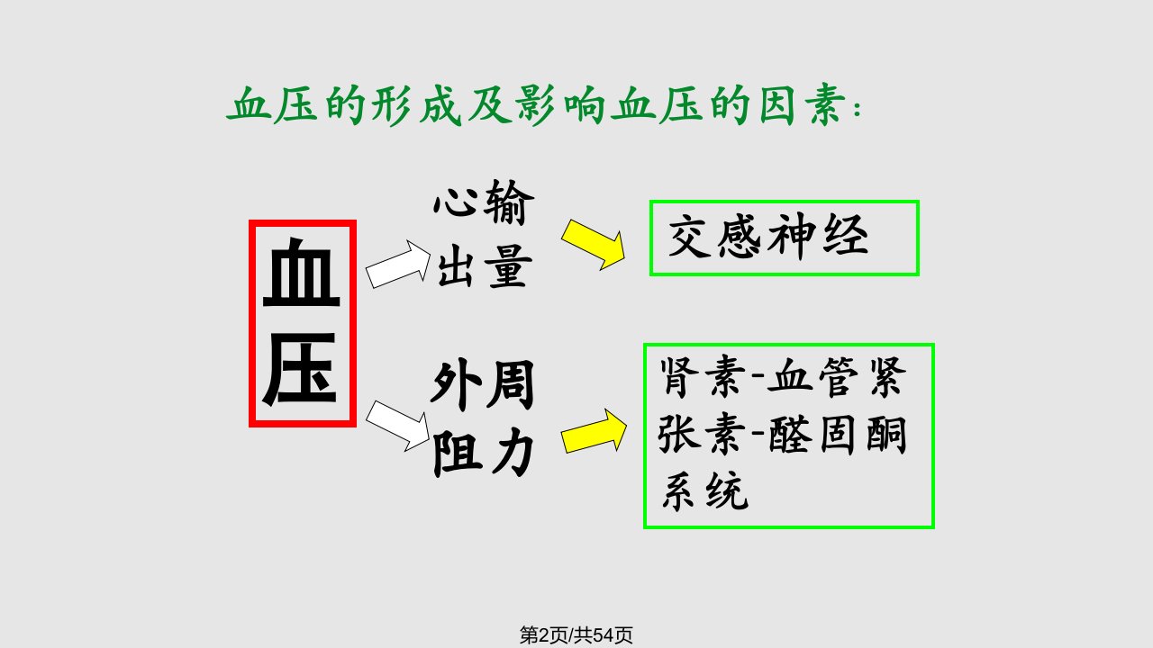 抗高血压药物重点