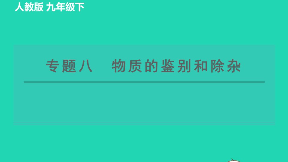 2022九年级化学下册专题八物质的鉴别和除杂习题课件新版新人教版