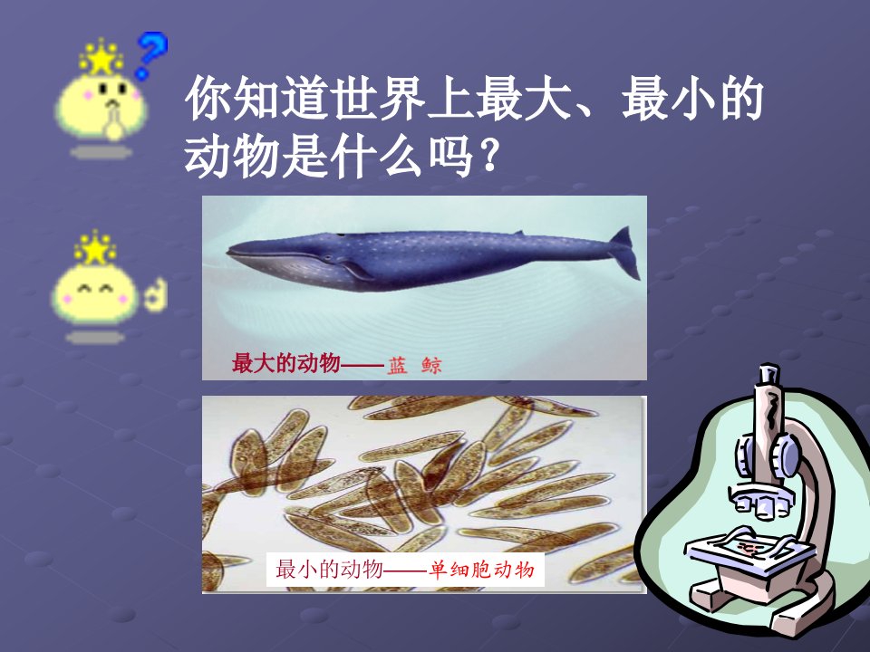 草履虫对外界刺激的反应试验