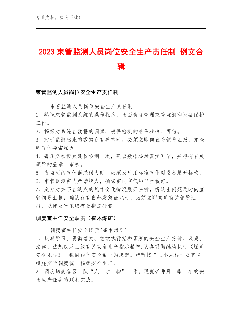 2023束管监测人员岗位安全生产责任制 例文合辑