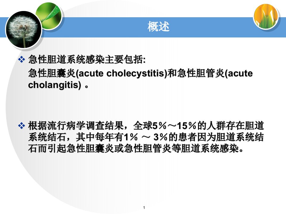 急性胆道系统感染的诊断和外科治疗