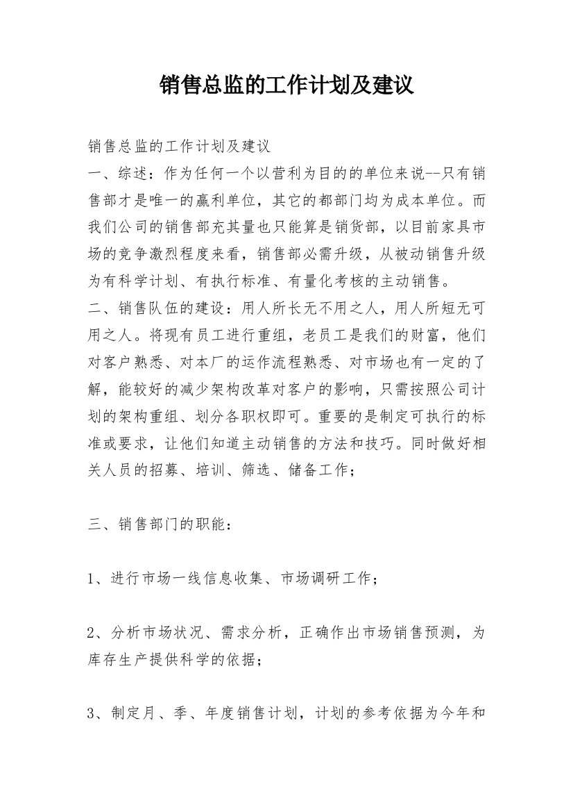 销售总监的工作计划及建议