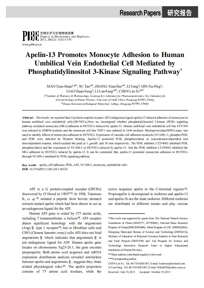 pi3k信号通路介导apelin-13促进单核细胞-血管内皮细胞黏附的研究