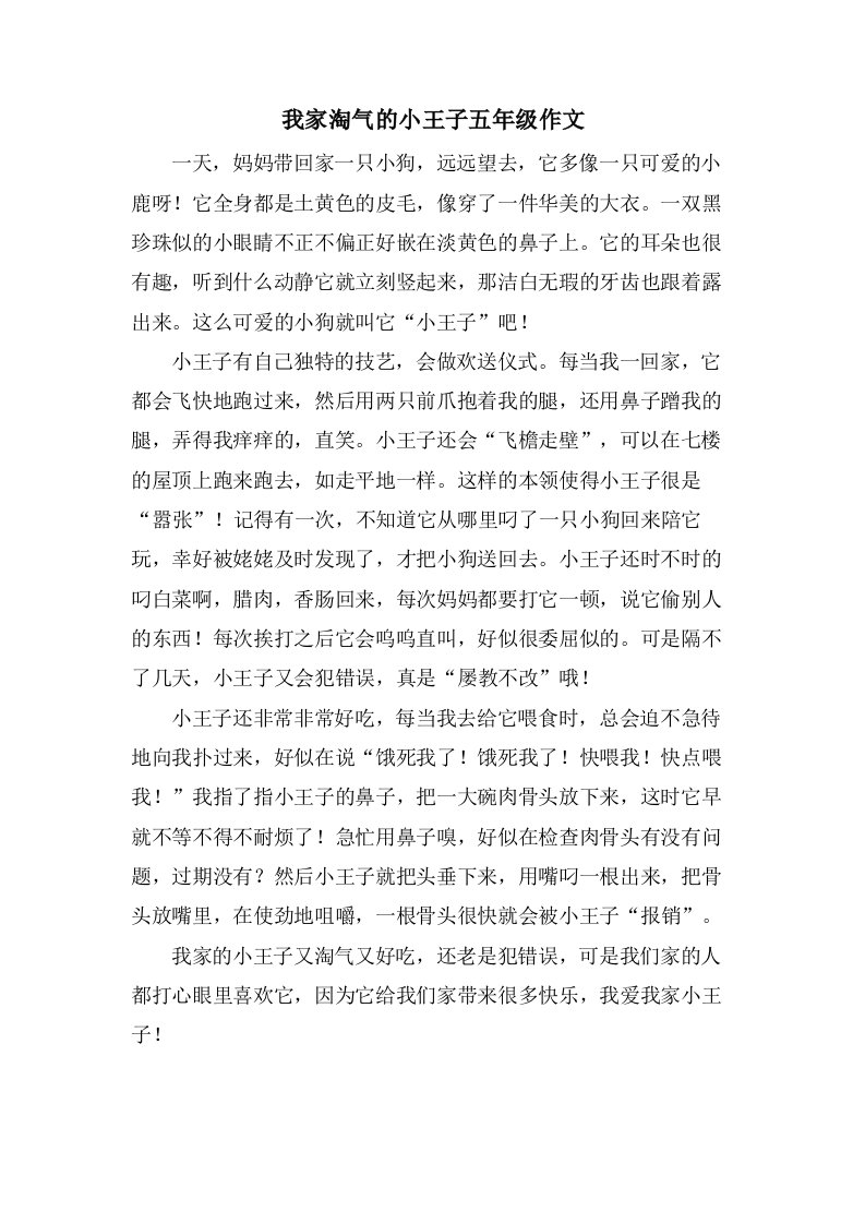 我家调皮的小王子五年级作文